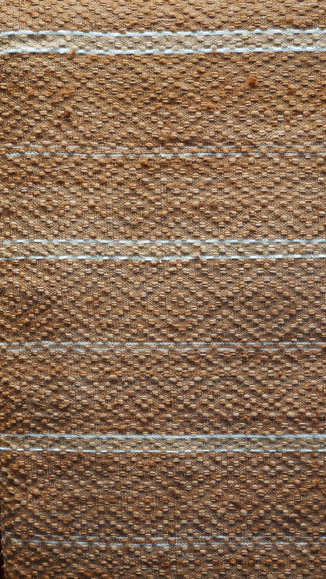 Rashin K Brown stripes – Bild 6